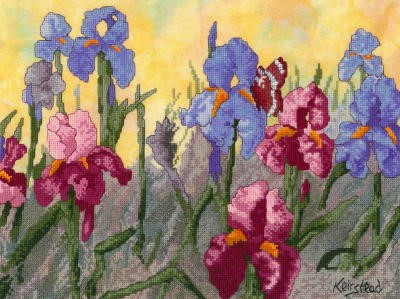 (image for) Iris & Monarch